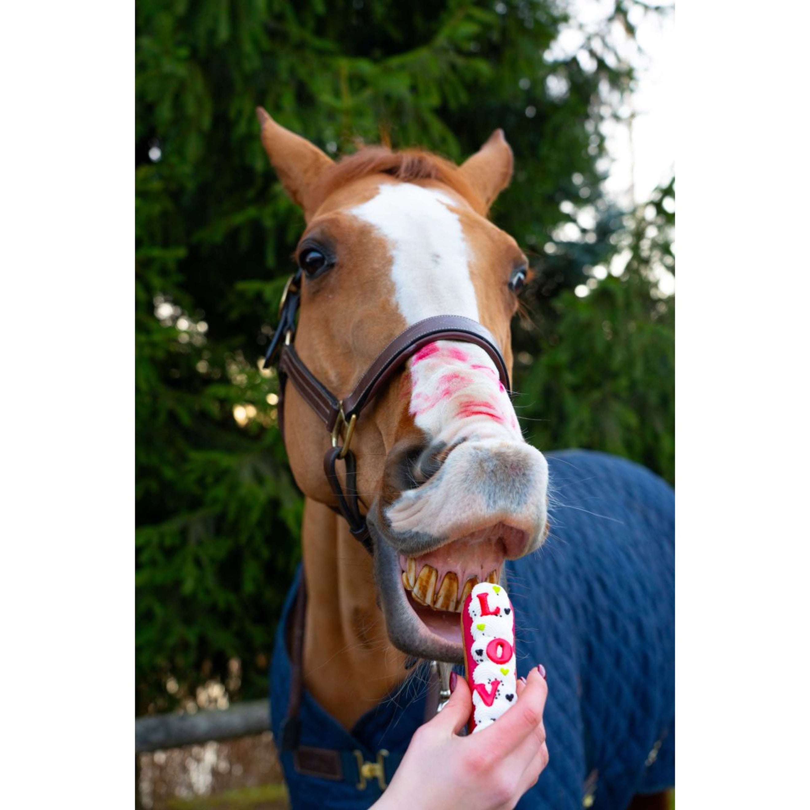 Candy Horse Love Kekse Eclair Icing