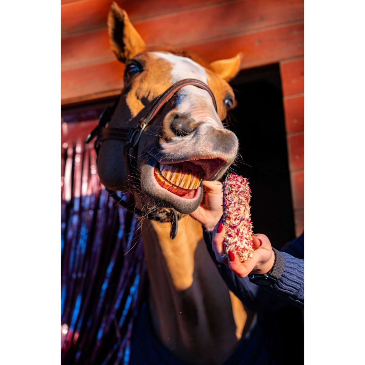 Candy Horse Love Kekse Cornflower Eclair