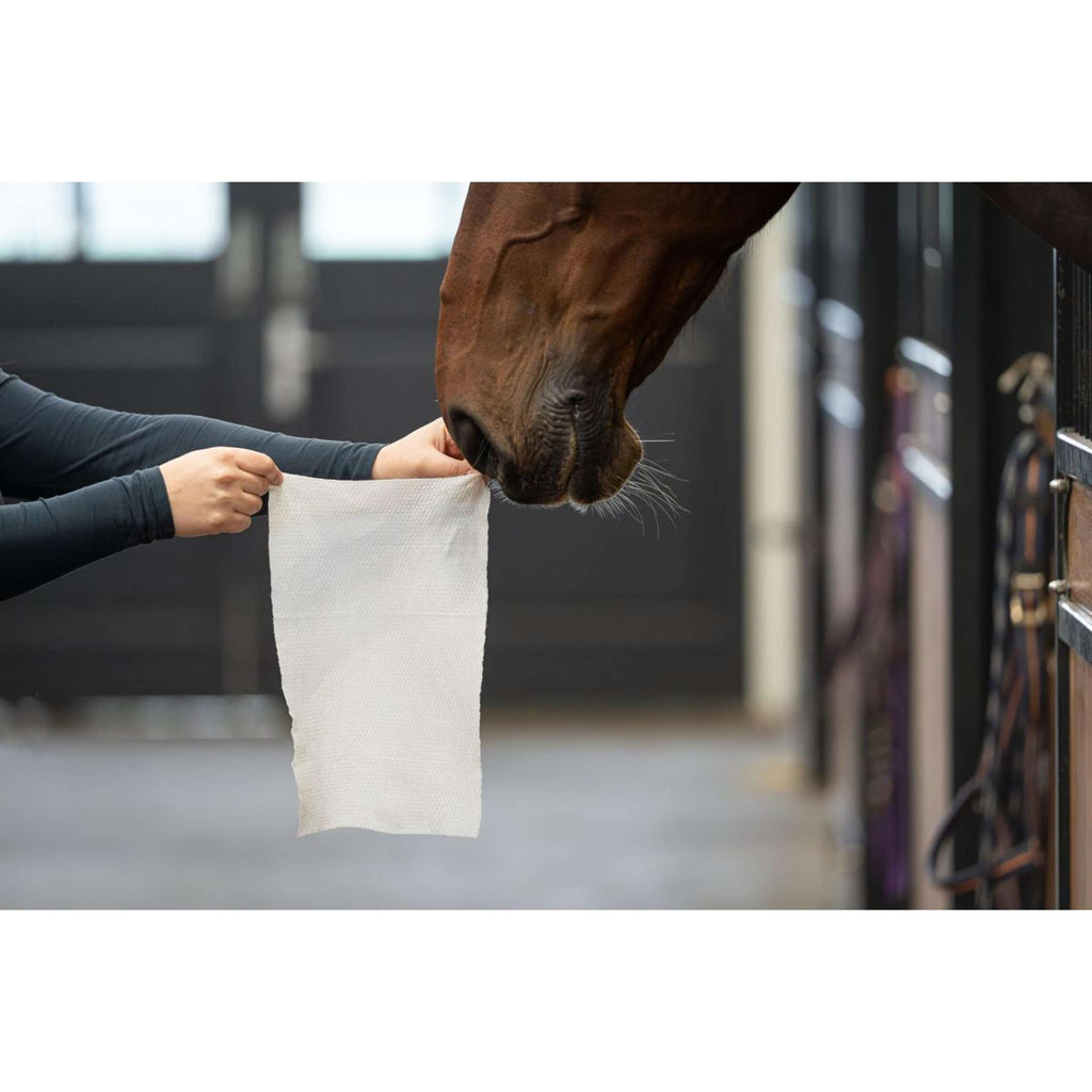 HB HorseWipes Natural Clean Weiß
