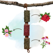 Herbie Kräuter-Holzspielzeug Immunity