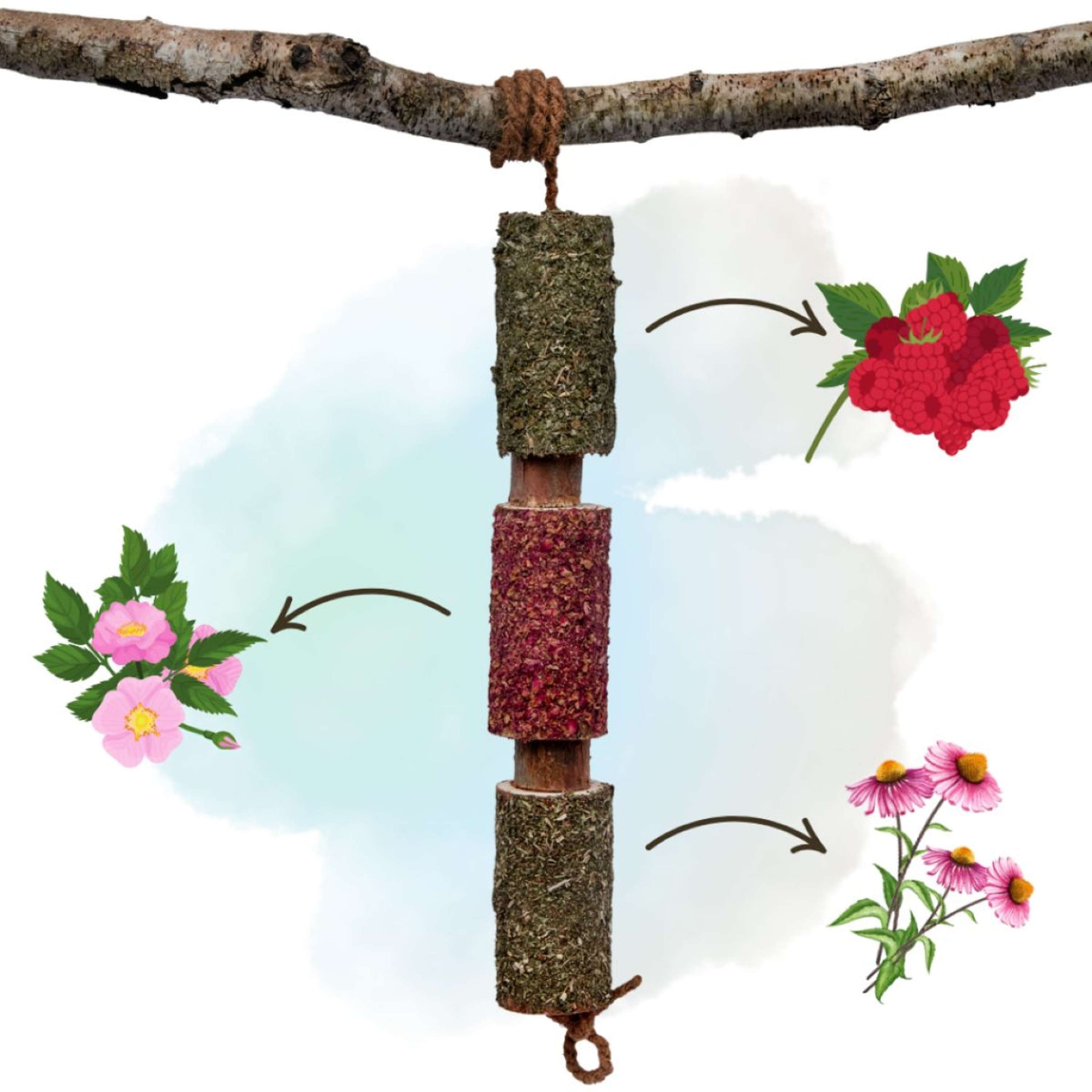 Herbie Kräuter-Holzspielzeug Immunity Herbie Kräuter-Holzspielzeug Immunity