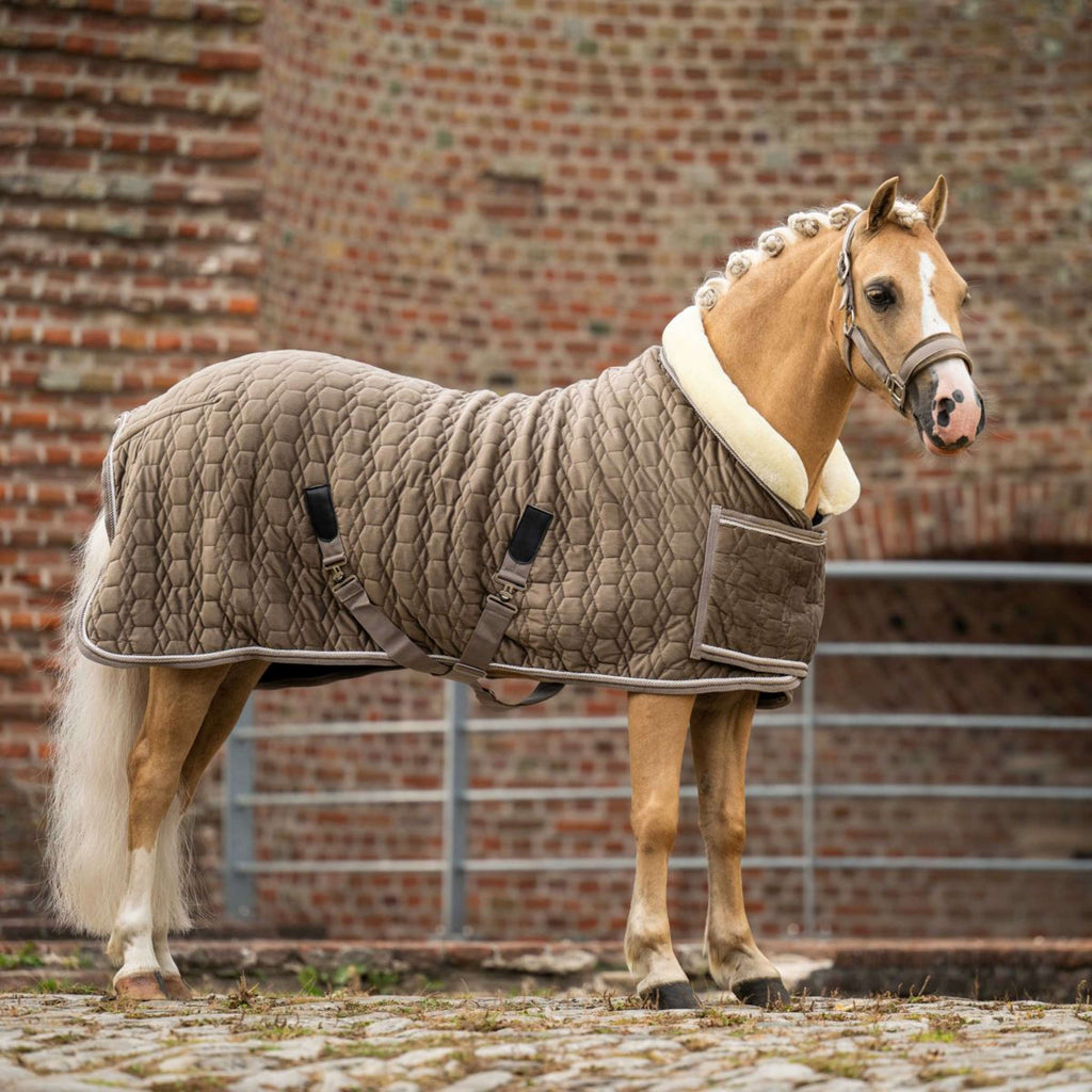 HB Ruitersport Showdecke Special Peach Taupe