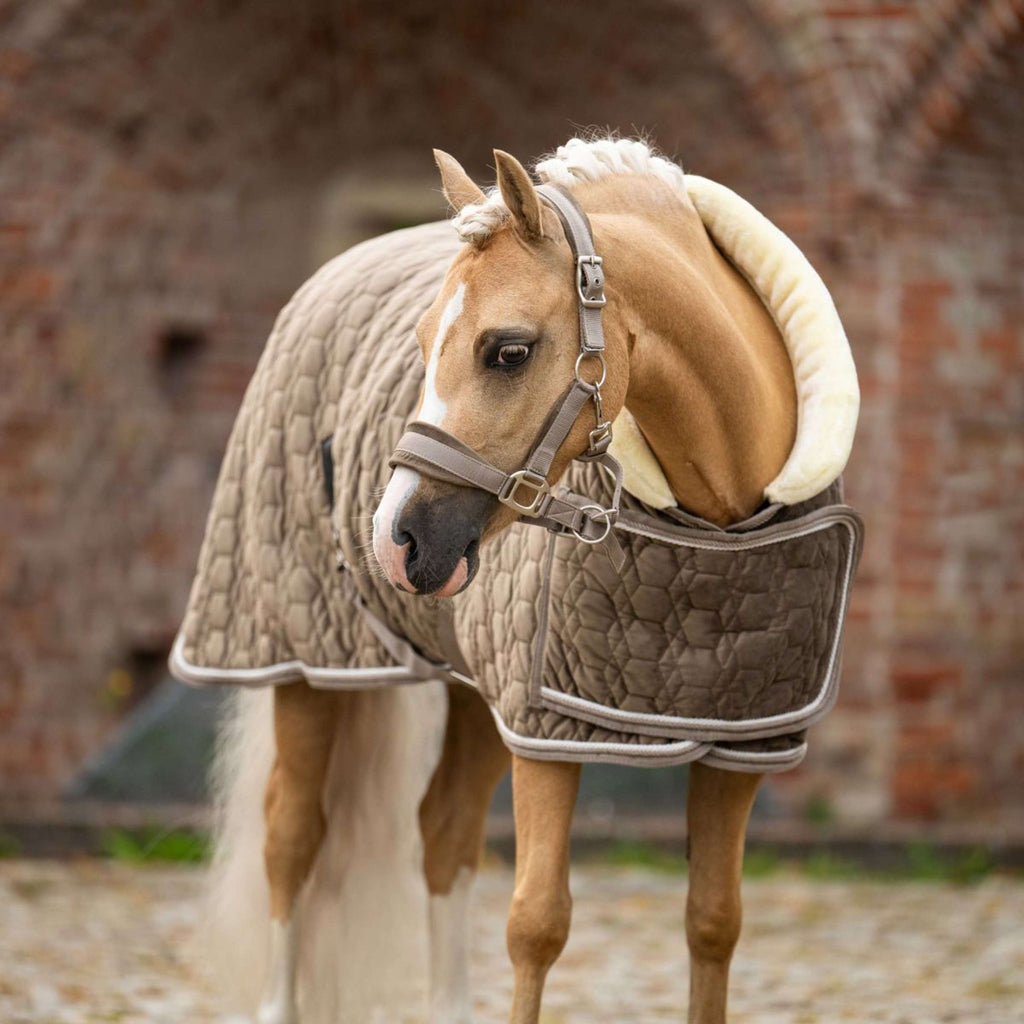 HB Ruitersport Showdecke Special Peach Taupe
