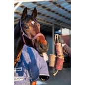 Candy Horse Love Kauspielzeug Vol Liefde