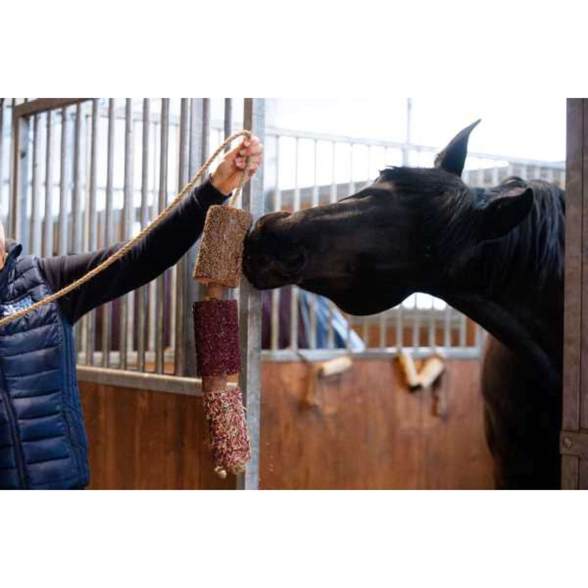 Candy Horse Love Kauspielzeug Vol Liefde