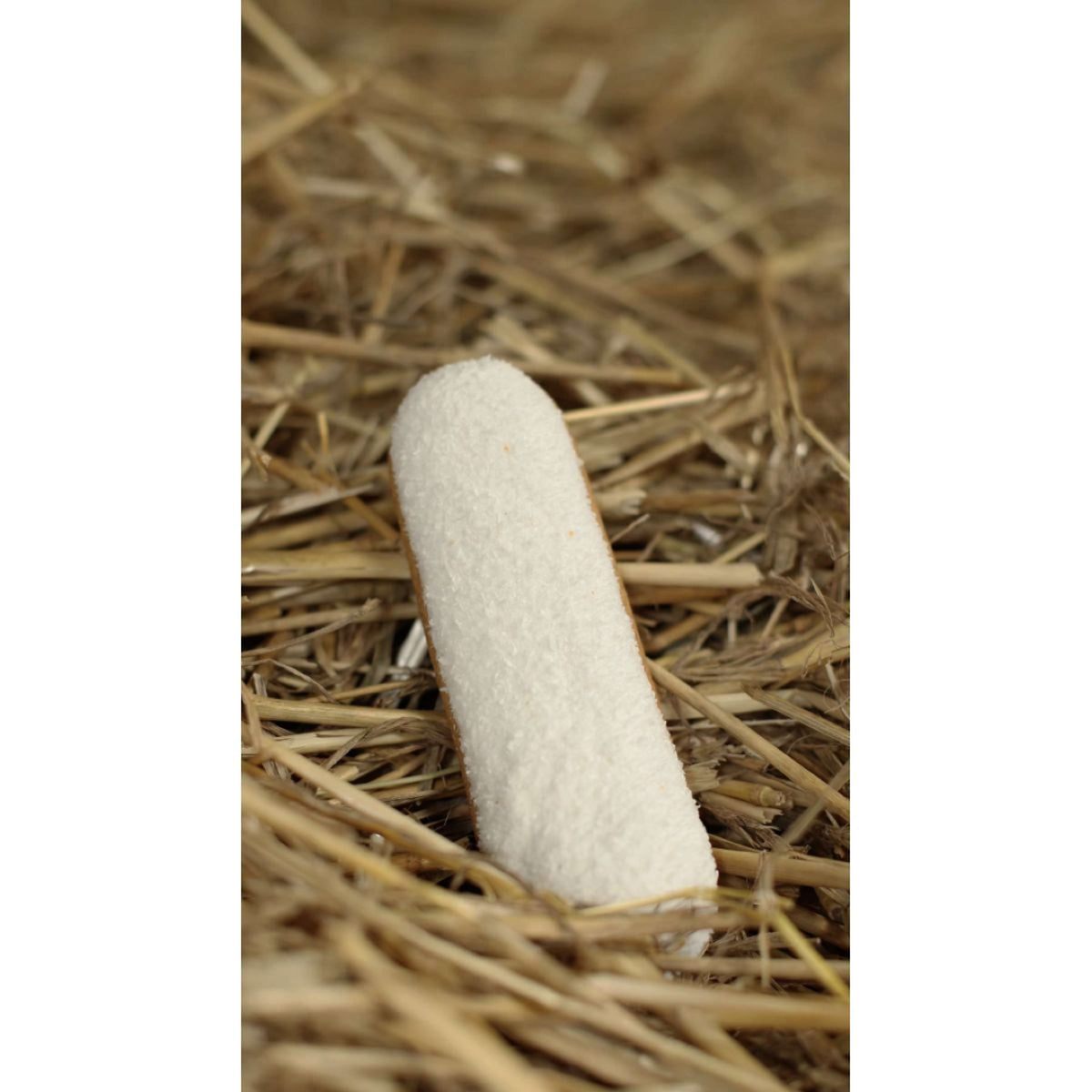 Candy Horse Kekse Coconut Eclair