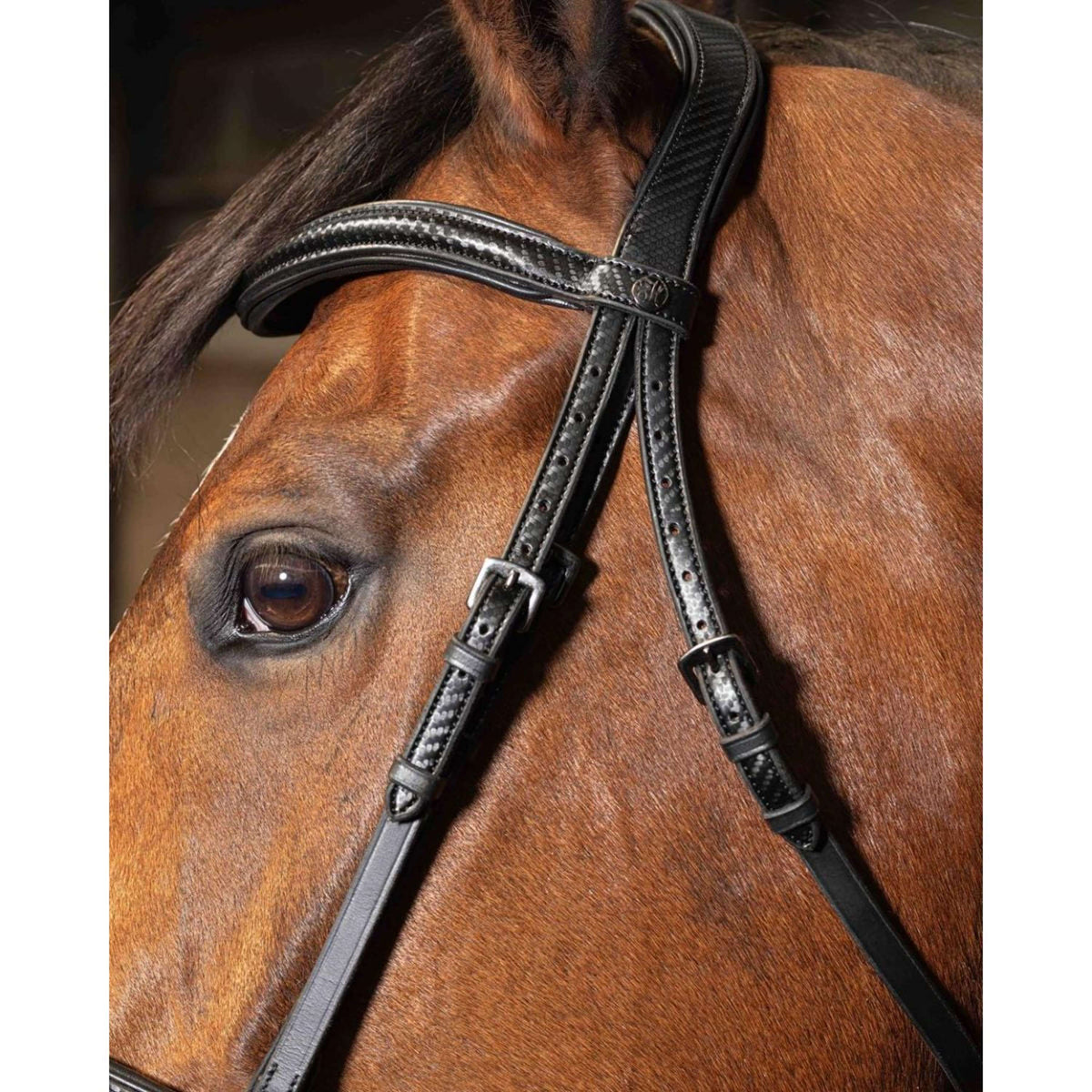 Harry's Horse Zaum Soft Carbon Black Edition Schwarz