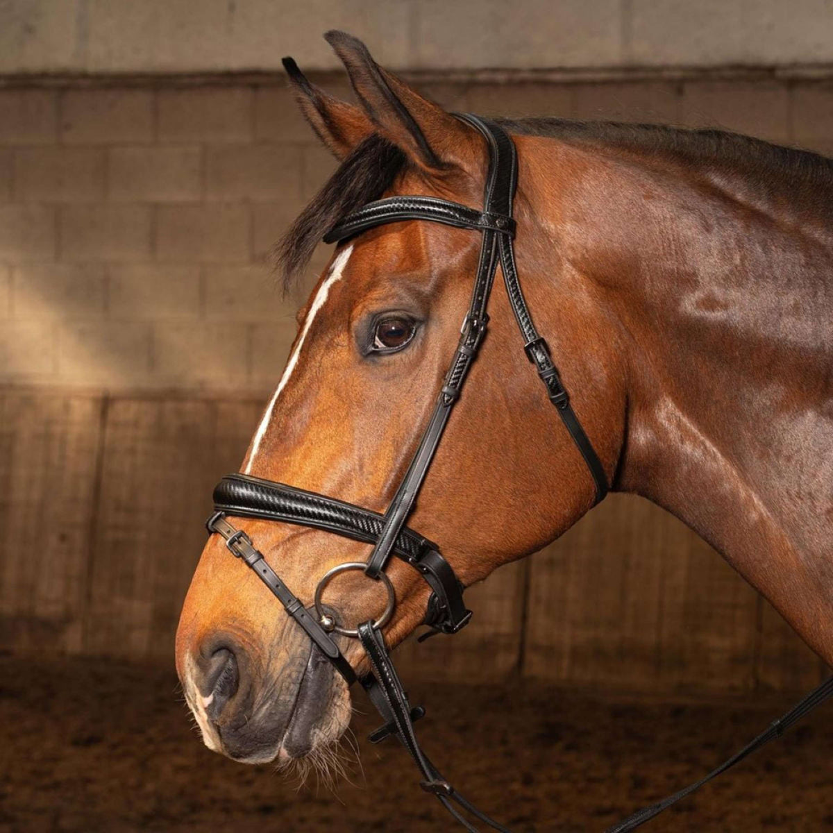 Harry's Horse Zaum Soft Carbon Black Edition Schwarz