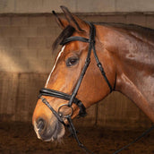 Harry's Horse Zaum Soft Carbon Black Edition Schwarz