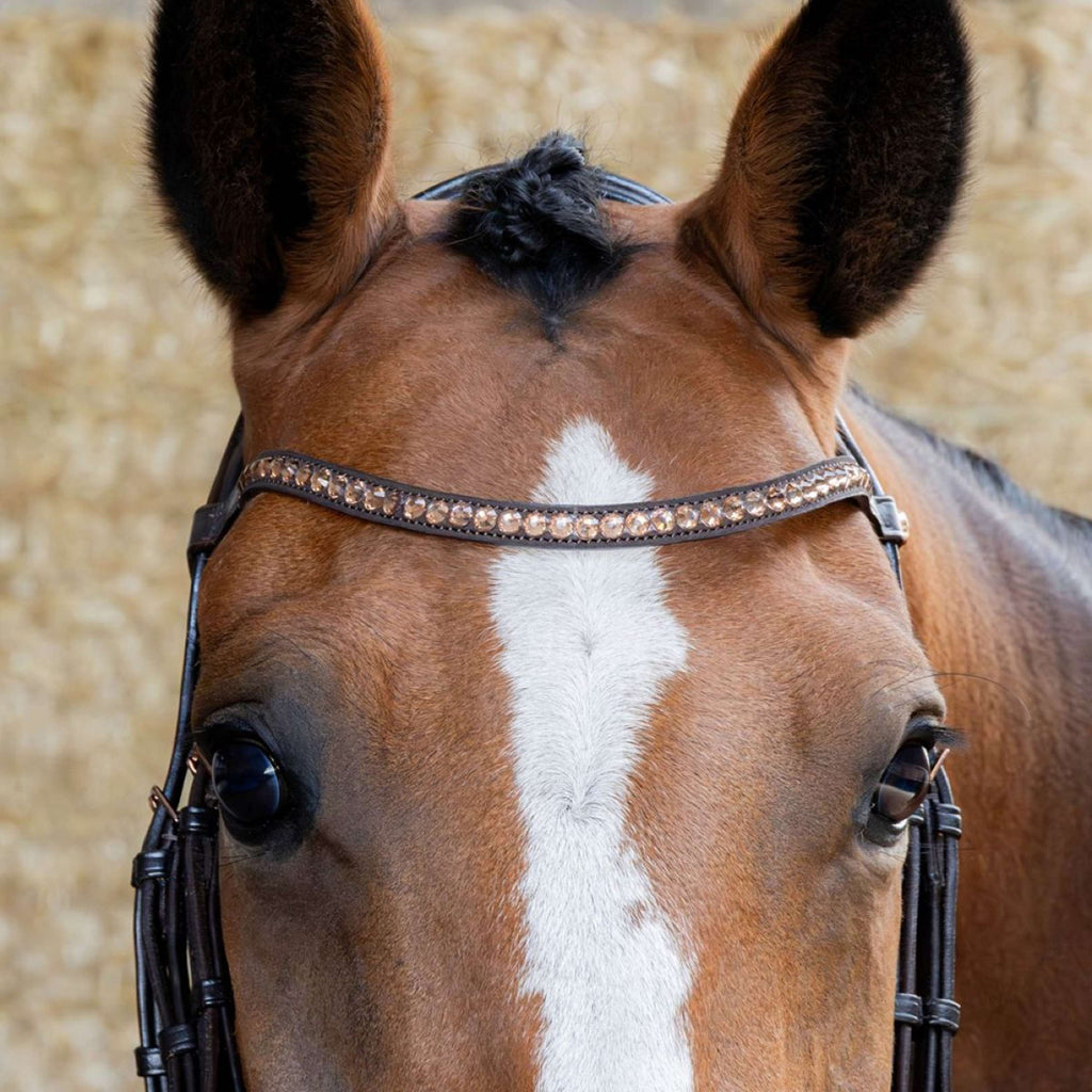 Harry's Horse Zaum Copper Braun