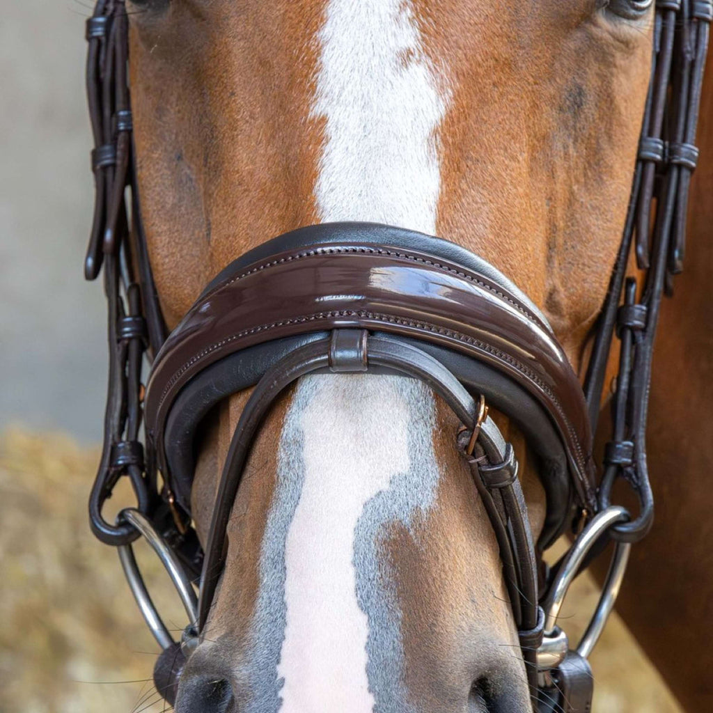 Harry's Horse Zaum Copper Braun