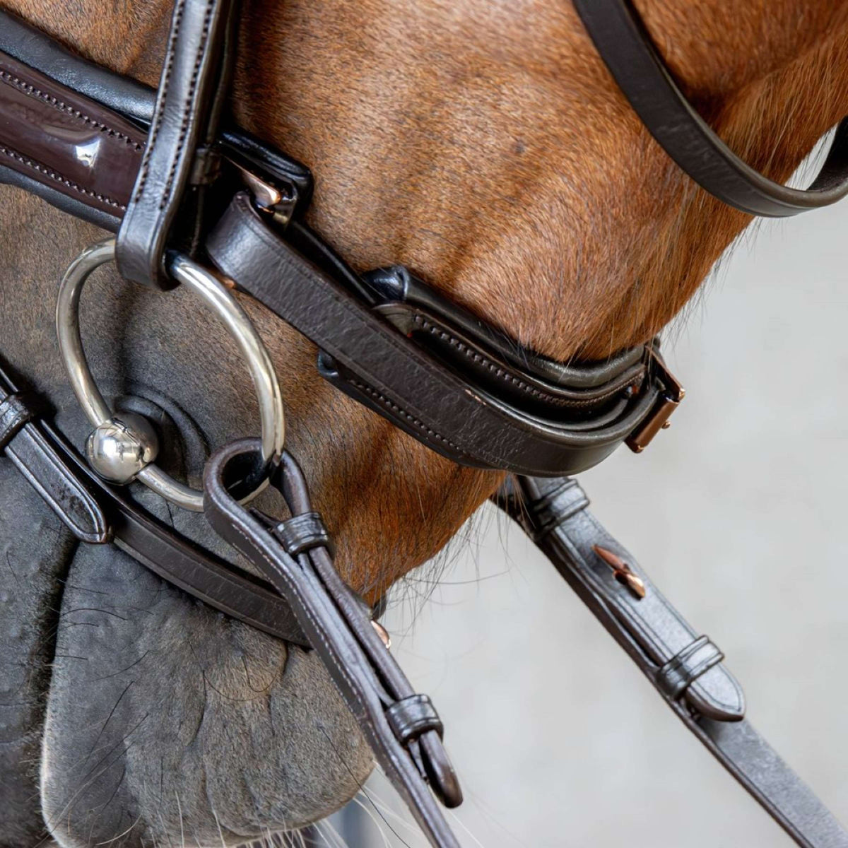 Harry's Horse Zaum Copper Braun