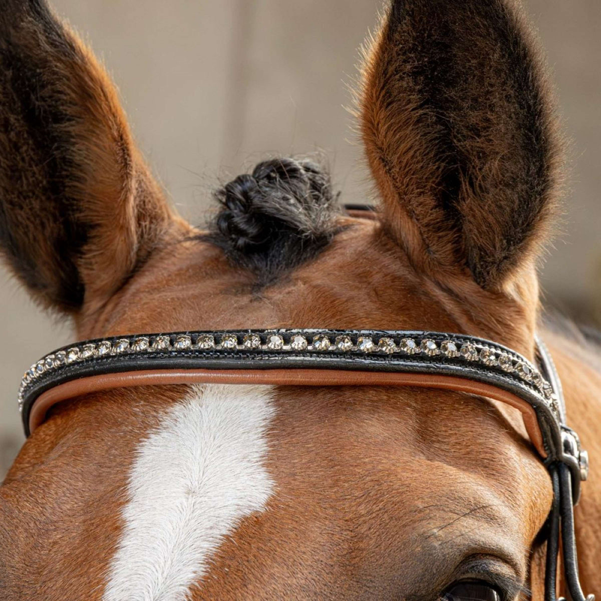 Harry's Horse Zaum Black Cognac Schwarz