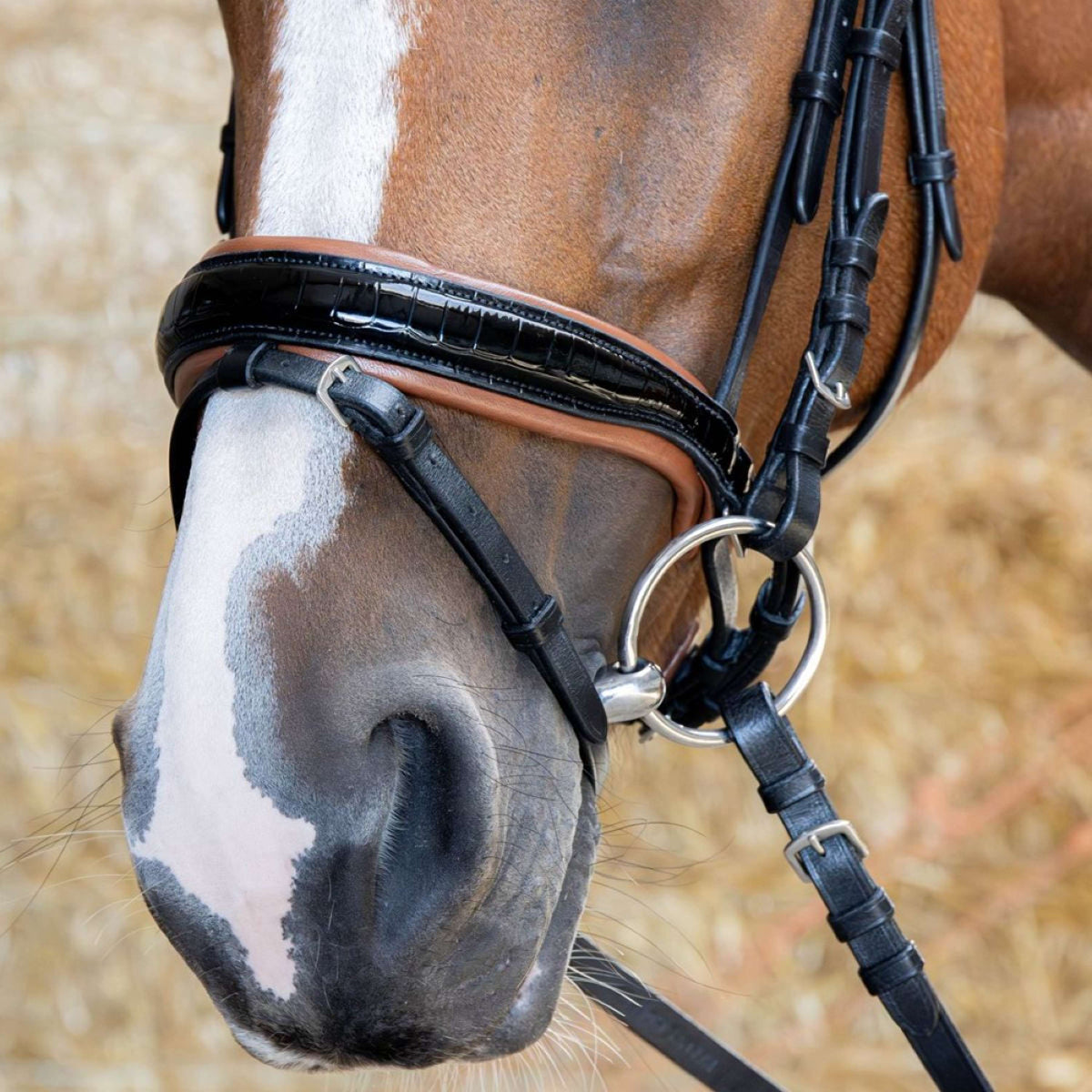 Harry's Horse Zaum Black Cognac Schwarz