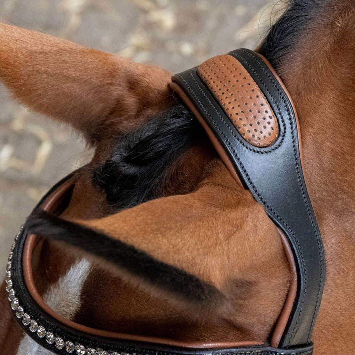 Harry's Horse Zaum Black Cognac Schwarz