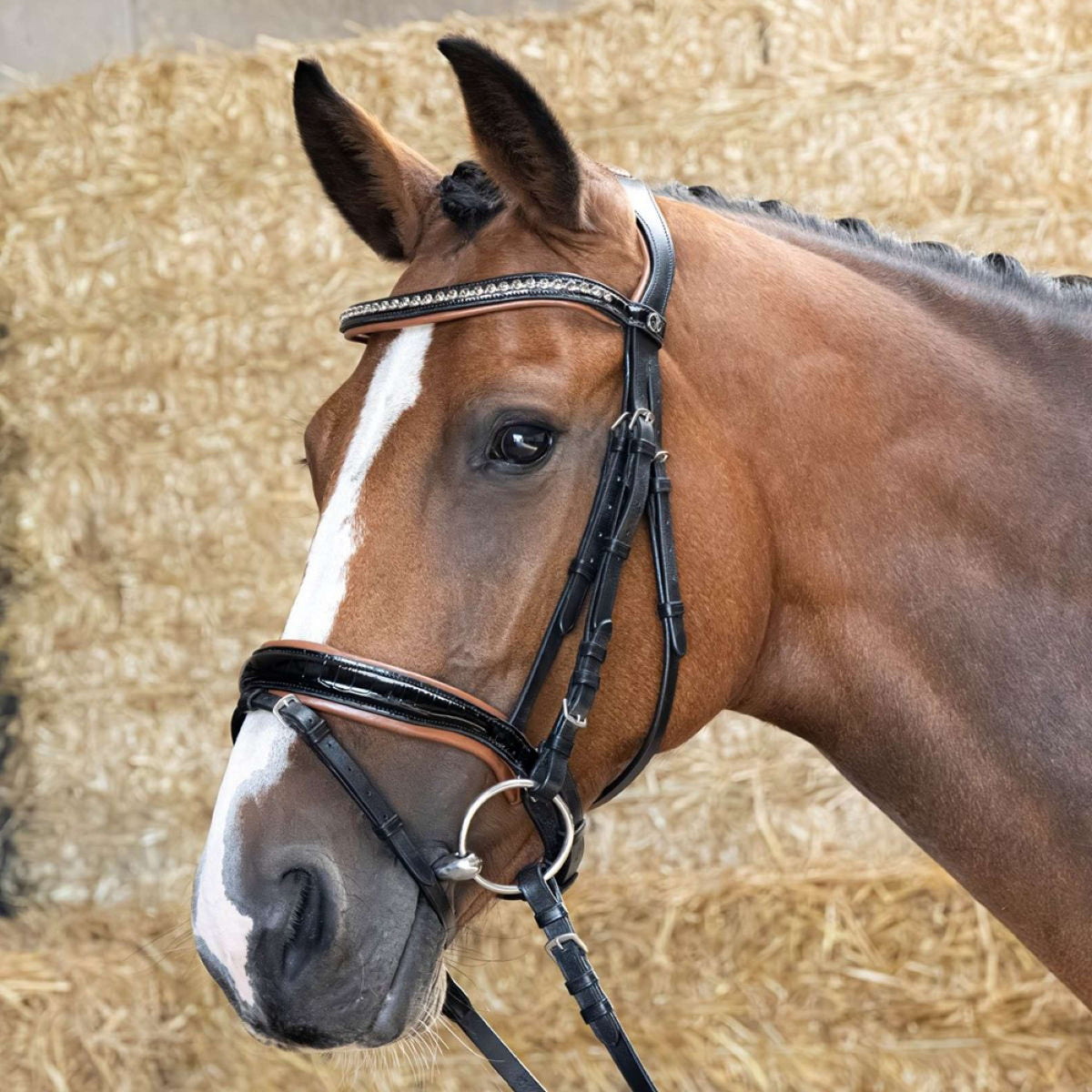 Harry's Horse Zaum Black Cognac Schwarz