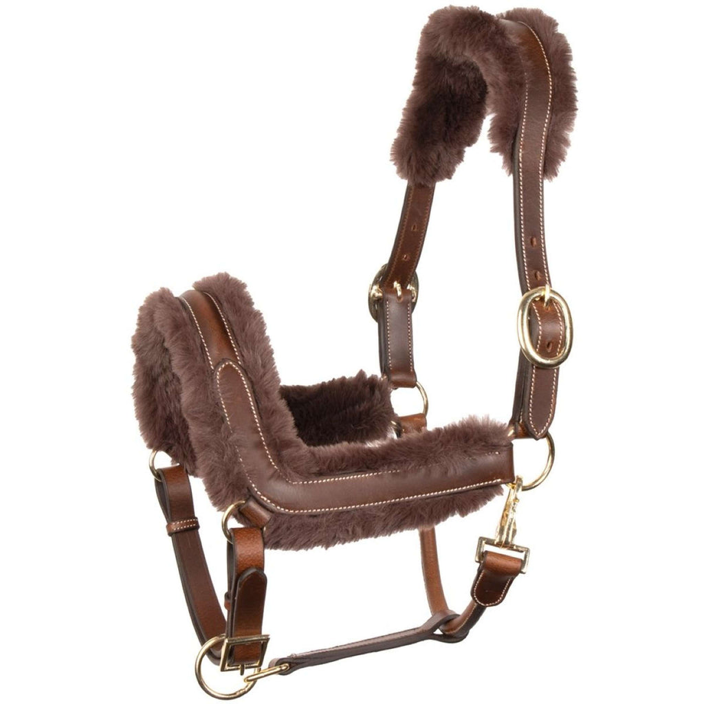 Harry's Horse Halfter Leder Anatomic Furry Matt Braun