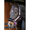 Harry's Horse Halfter Lyrics Quotes Lila