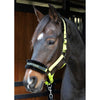 Harry's Horse Halfter Lyrics Quotes Limette