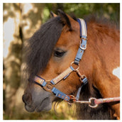 Harry's Horse Halfterset Diva Mauvewood Faded-Denim