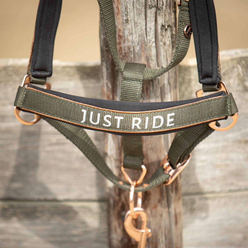 Harry's Horse Halfterset Just Ride Summer Chique Kambaba