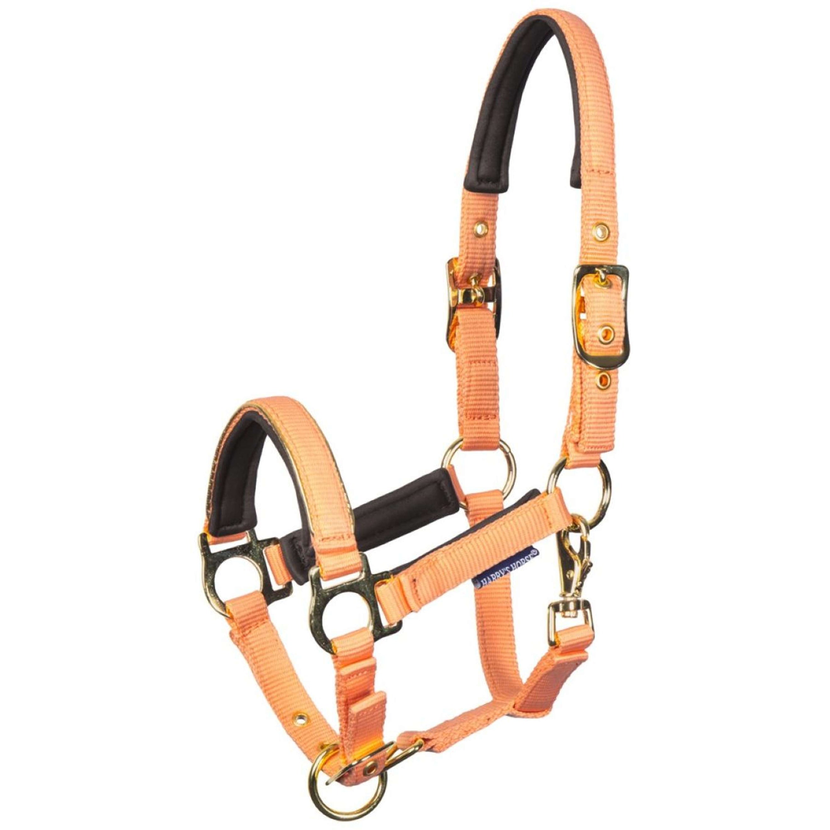 Harry's Horse Fohlenhalfter Metal Cadmium Orange