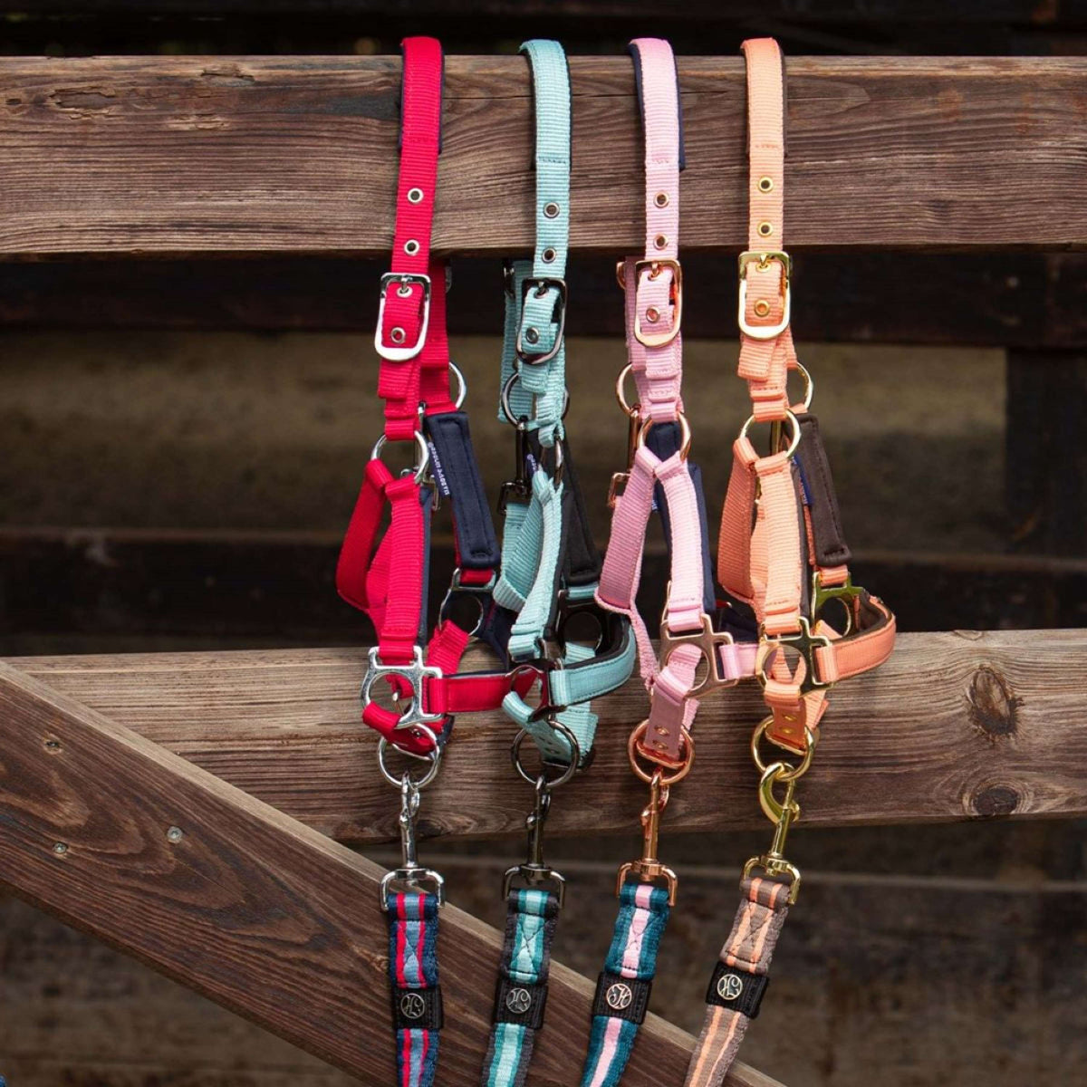 Harry's Horse Fohlenhalfter Metal Pink Dolphin