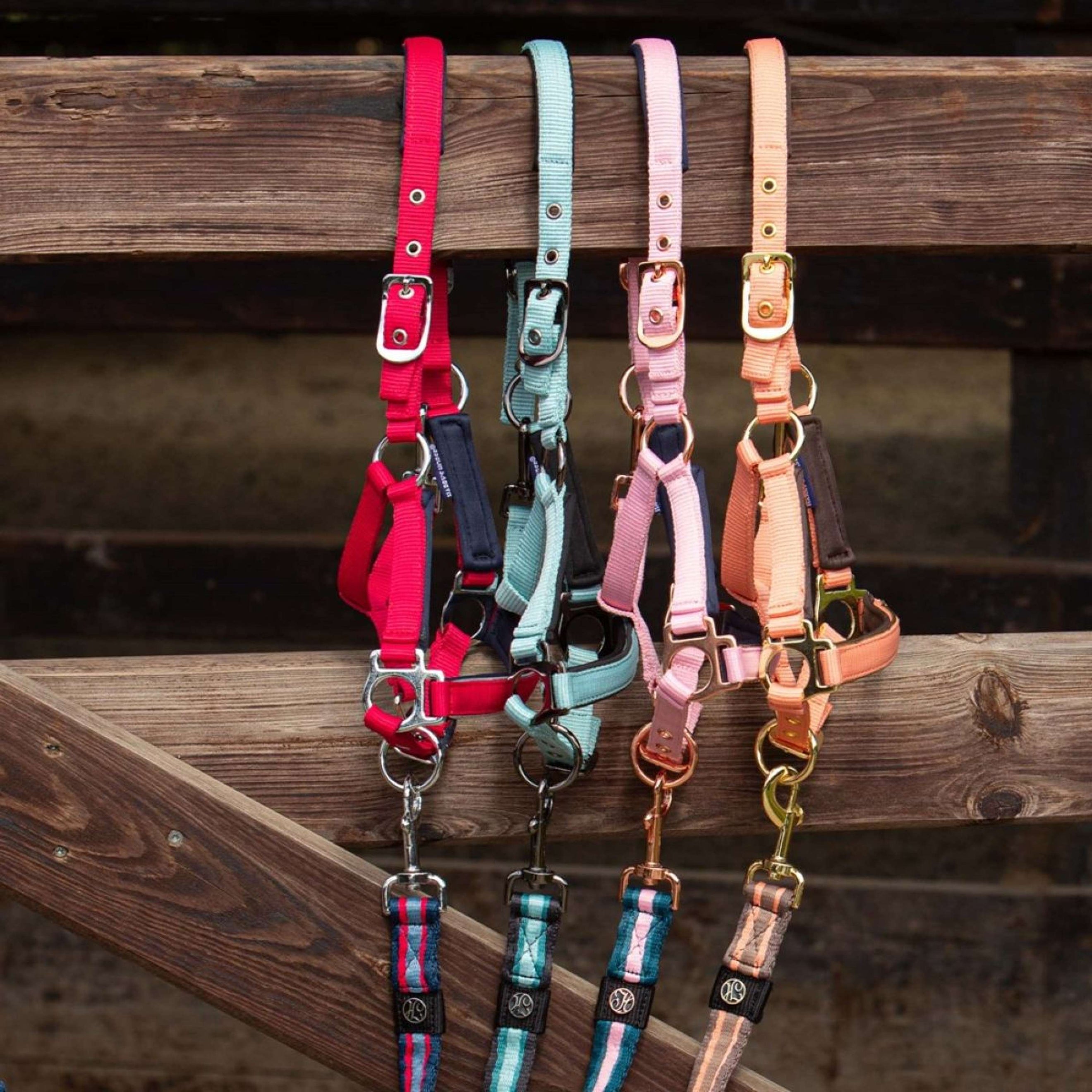 Harry's Horse Fohlenhalfter Metal Pastel Turquoise