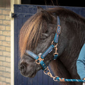 Harry's Horse Halfterset Equestrian Society Moonlit Ocean