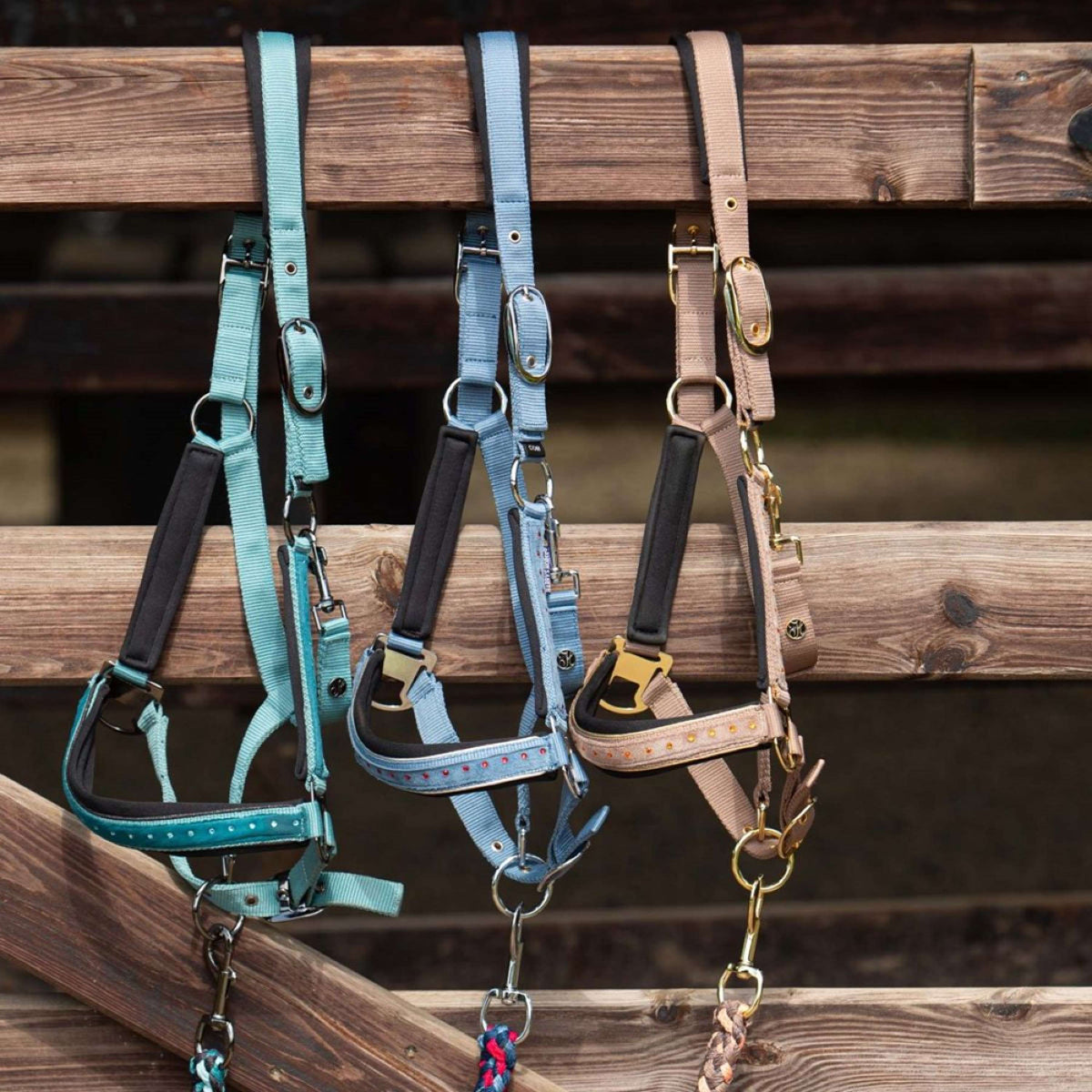 Harry's Horse Halfterset Crystal Teal