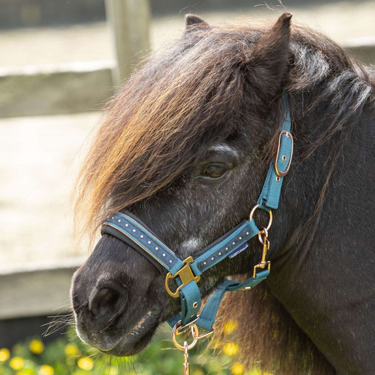Harry's Horse Halfterset Crystal Tapestry