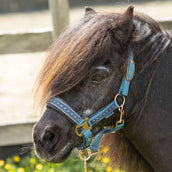 Harry's Horse Halfterset Crystal Tapestry