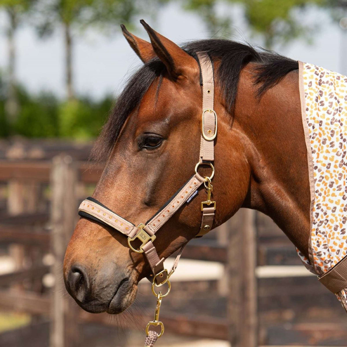 Harry's Horse Halfterset Crystal Taupe Grey