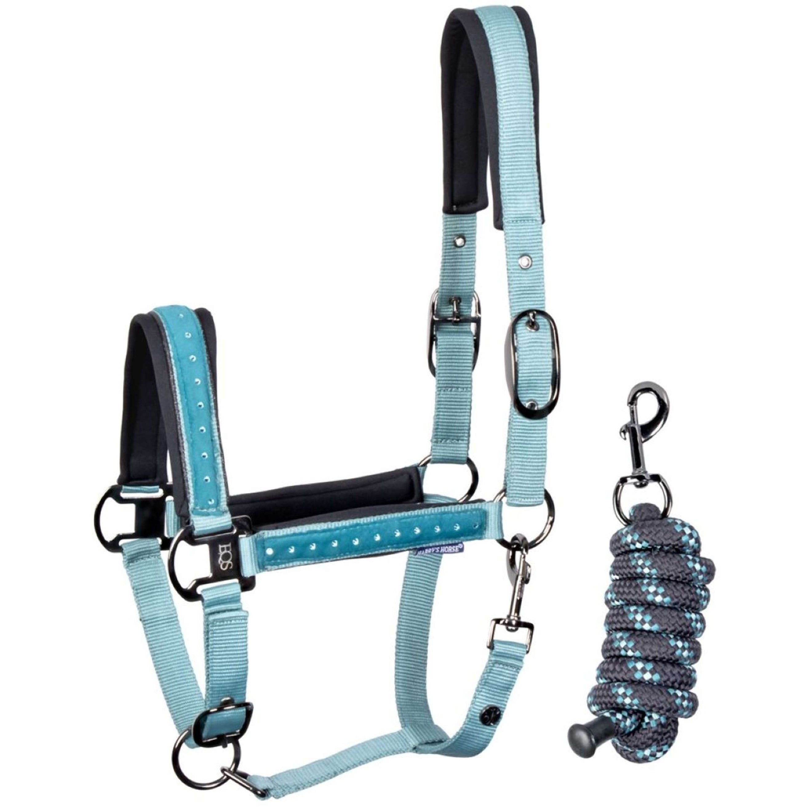 Harry's Horse Halfterset Crystal Teal