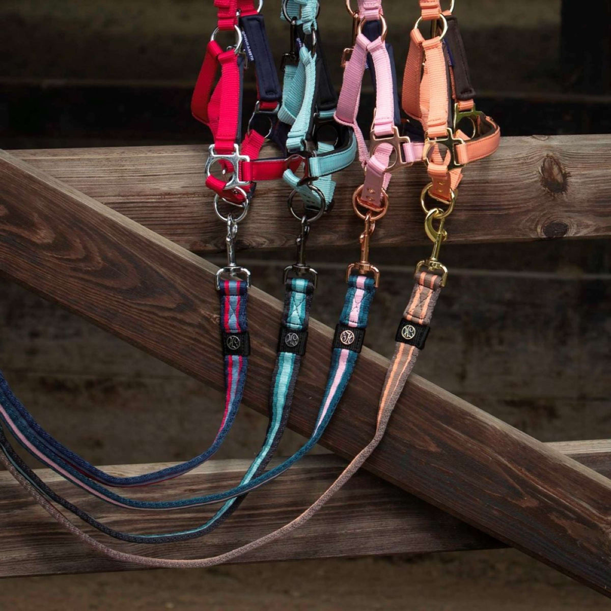 Harry's Horse Leine Soft Reflecting Pond