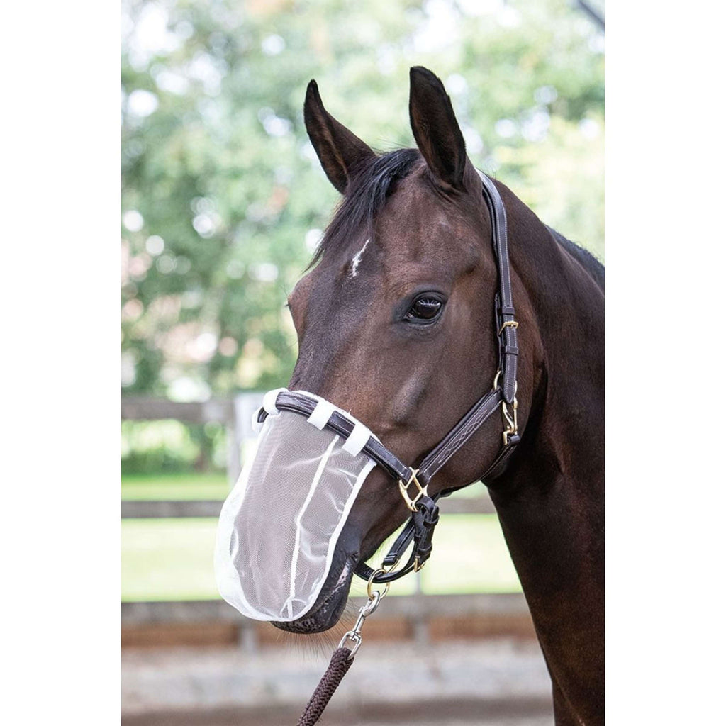 Harry's Horse Nasenschutz Weiß