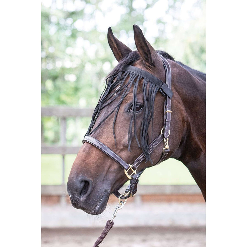 Harry's Horse Fliegenaugenschutzband Schwarz