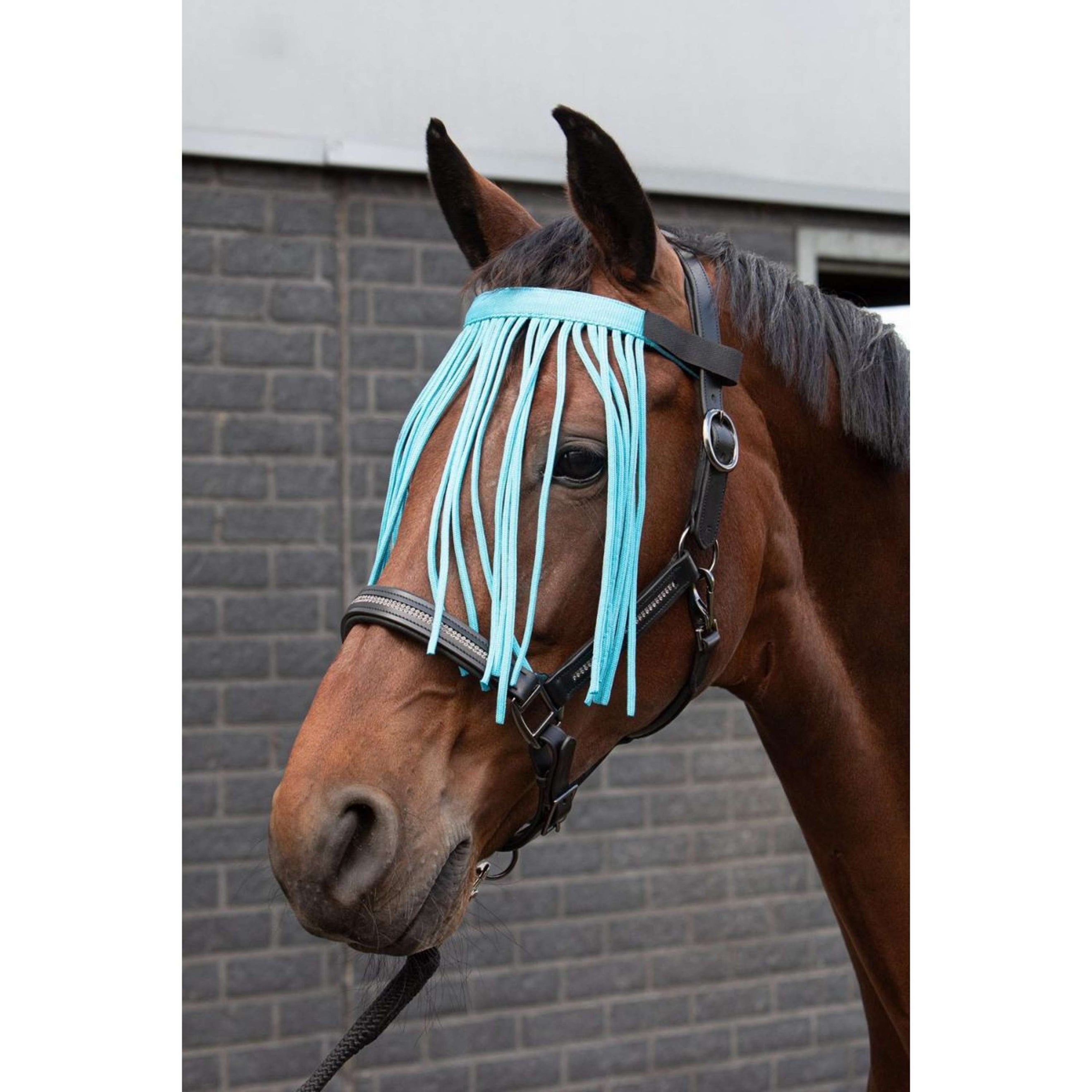 Harry's Horse Fliegenstirnband Colour Hellblau