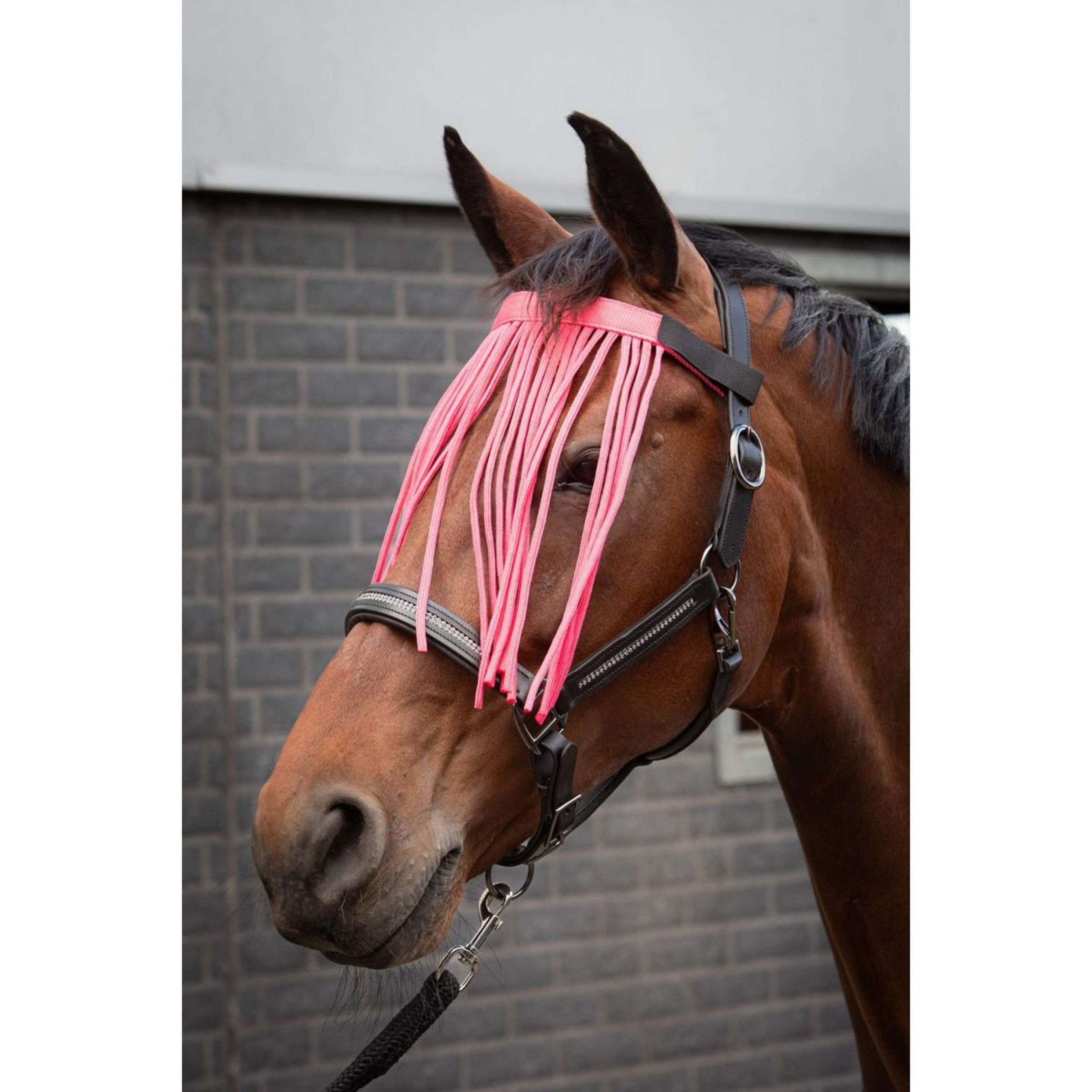 Harry's Horse Fliegenstirnband Colour Rosa