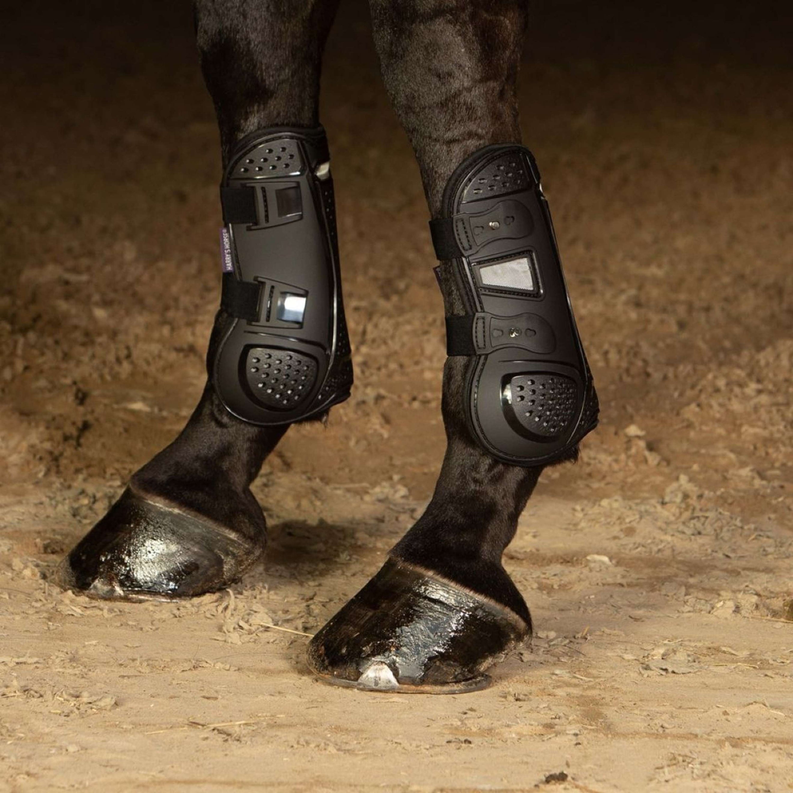 Harry's Horse Beinschutz Breath Schwarz Harry's Horse Beinschutz Breath Schwarz