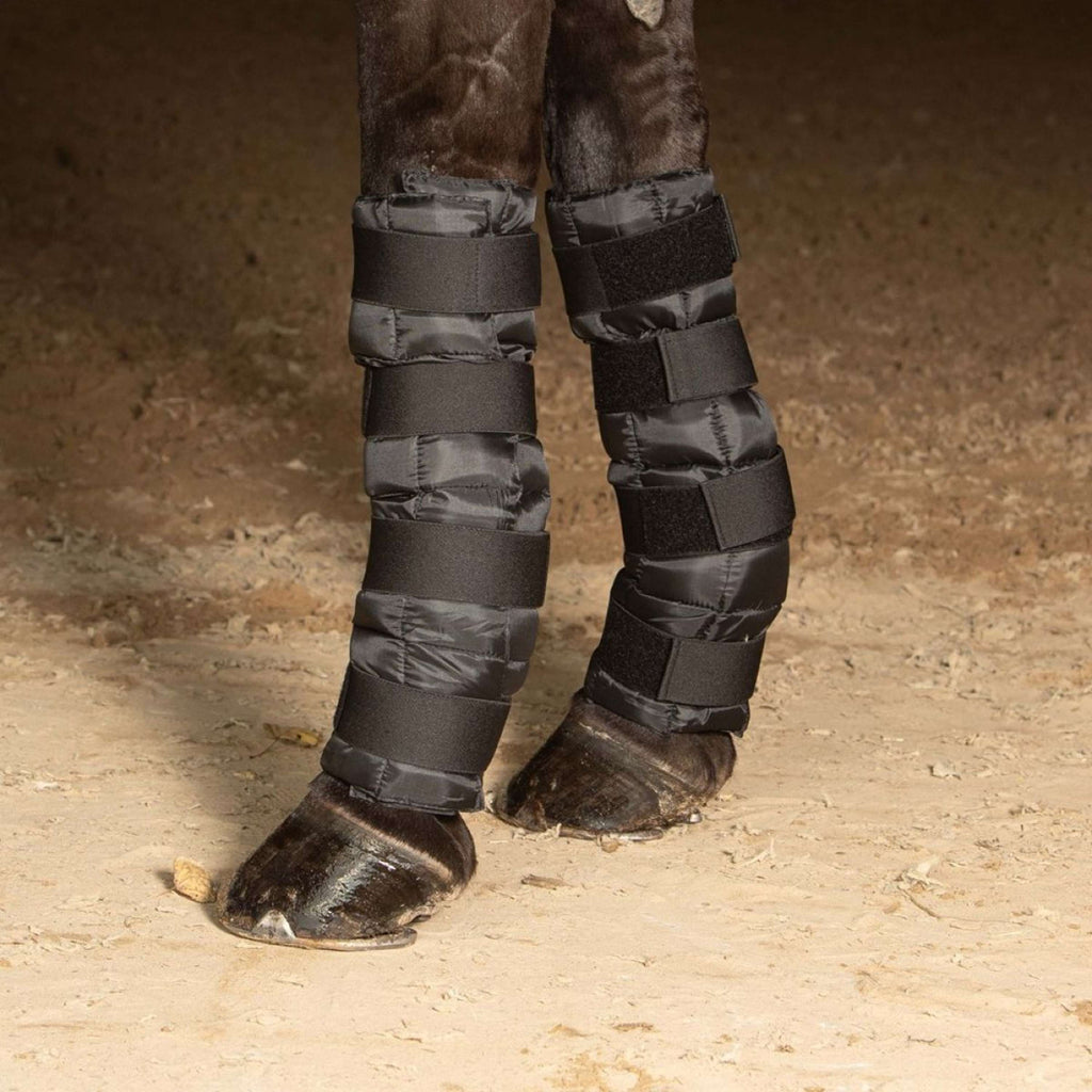 Harry's Horse Cold Wrap Schwarz