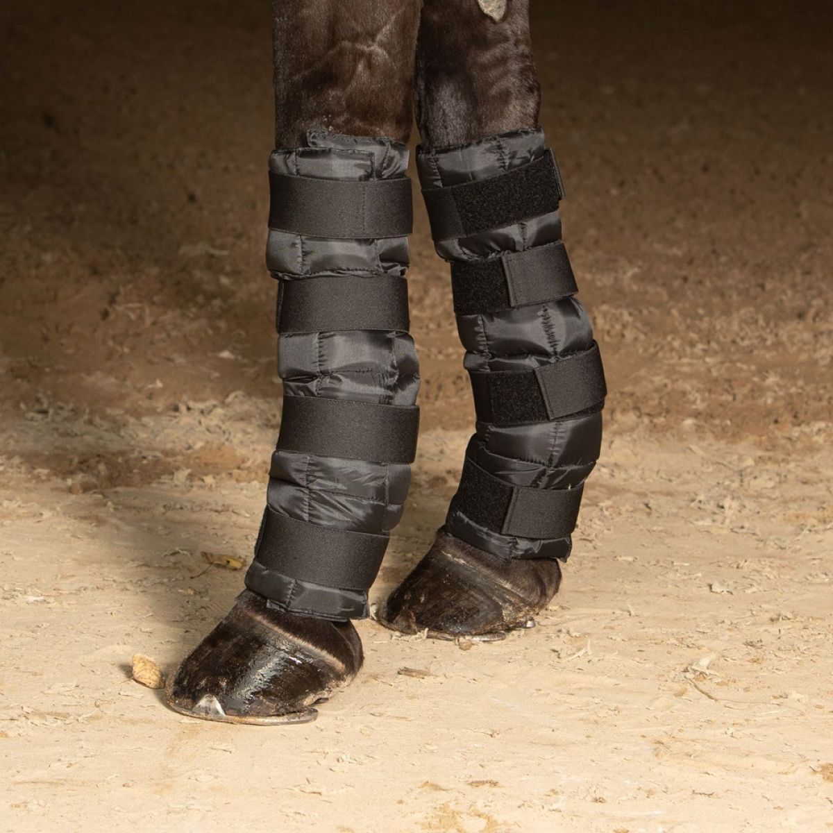 Harry's Horse Cold Wrap Schwarz