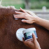 Hilton Herbs VireX Cream