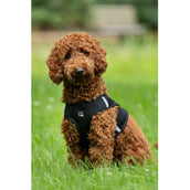 HKM Hundegeschirr Buddy Soft Schwarz