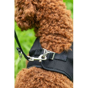 HKM Hundegeschirr Buddy Soft Schwarz