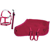 HKM Cuddle Pony Starterset Rot