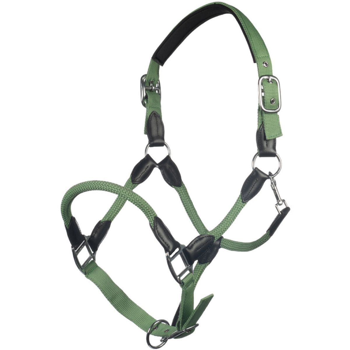 HKM Halfter Carlotta Jade