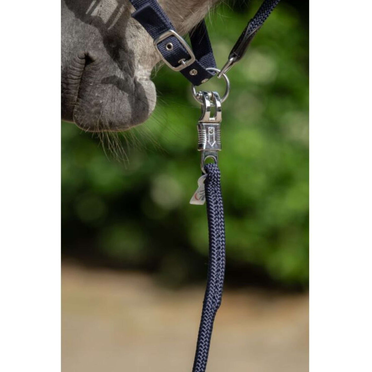 HKM Führstrick Carlotta Panikhaken Dunkel blau