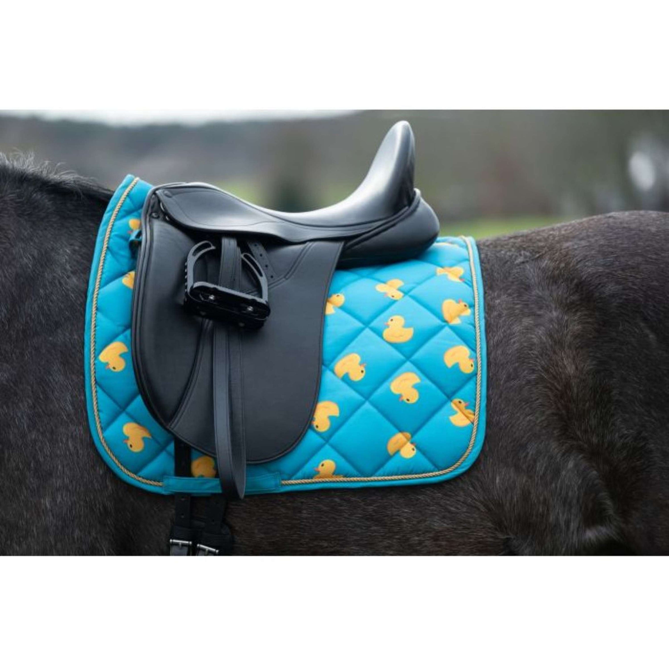 HKM Schabracke Naples Dressur Blau/Gelb HKM Schabracke Naples Dressur Blau/Gelb