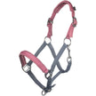 Rauchblau/Rosa